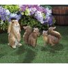 Summerfield Terrace Nibbling Squirrel Garden Statue