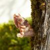 Summerfield Terrace Gathering Squirrel Tree Decor