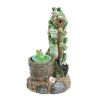 Summerfield Terrace Solar Rotating Frog Garden Decor