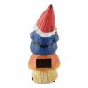 Summerfield Terrace Bookworm Gnome Solar Statue