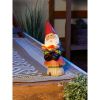 Summerfield Terrace Bookworm Gnome Solar Statue