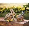 Summerfield Terrace Solar Home Sweet Home Bunnies