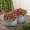 Summerfield Terrace Galvanized Textured Buckets