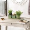 Accent Plus Green Square Ceramic Small Planter Set