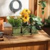 Accent Plus Green Square Ceramic Small Planter Set