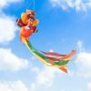 Accent Plus Turkey Windsock