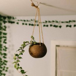 Hanging Coconut Planter (Pack of 1)
