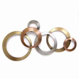 Multi Metallic Rings Wall Decor (Pack of 1)