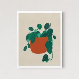 Velvet Leaf (Pack of 1)