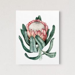 Prothea Flower (Pack of 1)